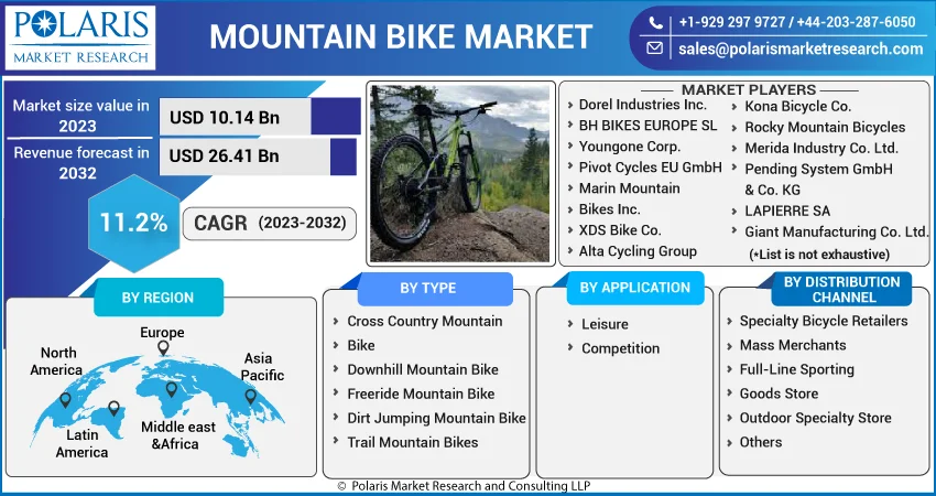 Mountain Bike Market